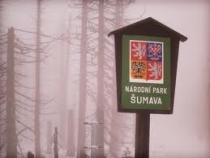 Kauza: Šumava může přijít o značku Národní park, souhlasíte?